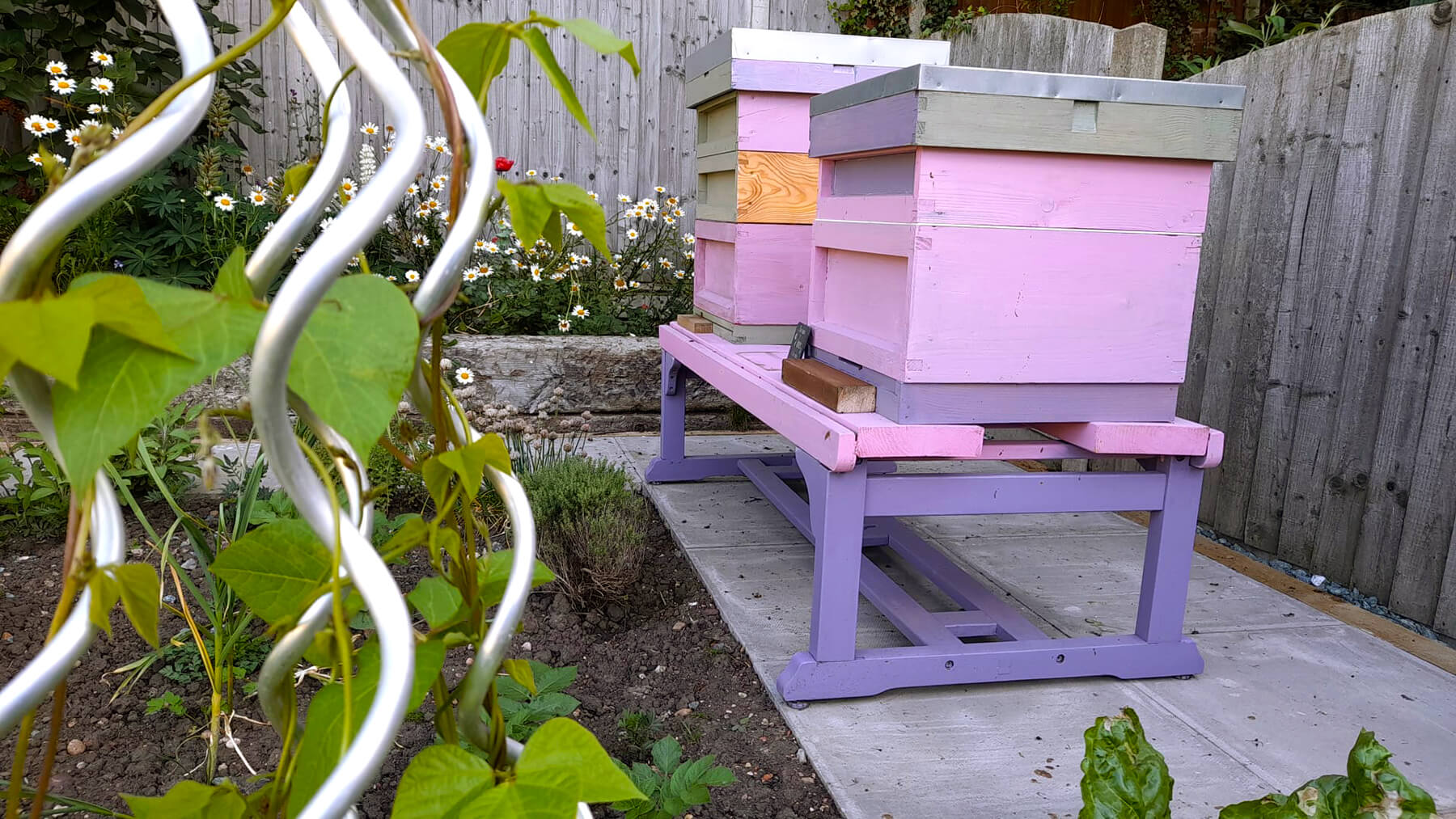 Garden Design Area with Beehive