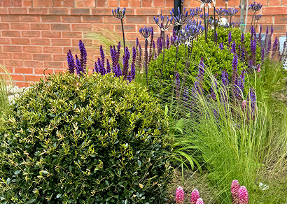 Planting Scheme Warwickshire