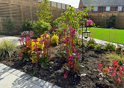 Planting Scheme