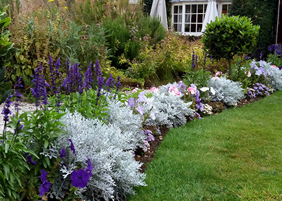 Structured garden planting design